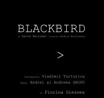 Blackbird