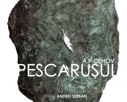 Pescarusul – regia Andrei Serban