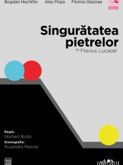 Singurătatea pietrelor | Prima dată-n online