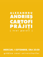 concert Alexandru Andries
