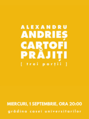 concert Alexandru Andries