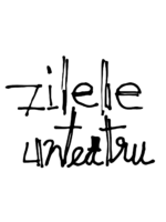 Zilele unteatru 14-28 iulie 2024